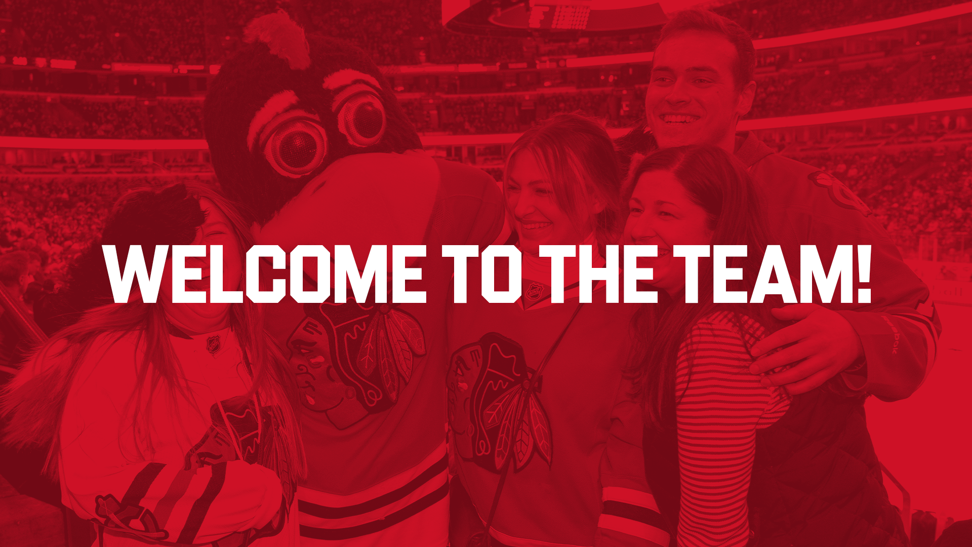 Welcome to the Team!
