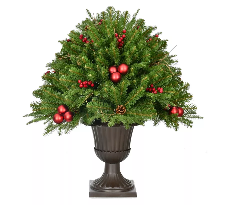 Fraser Hill Farm 2.5-Ft. Joyful Porch Tree in Pedestal Urn