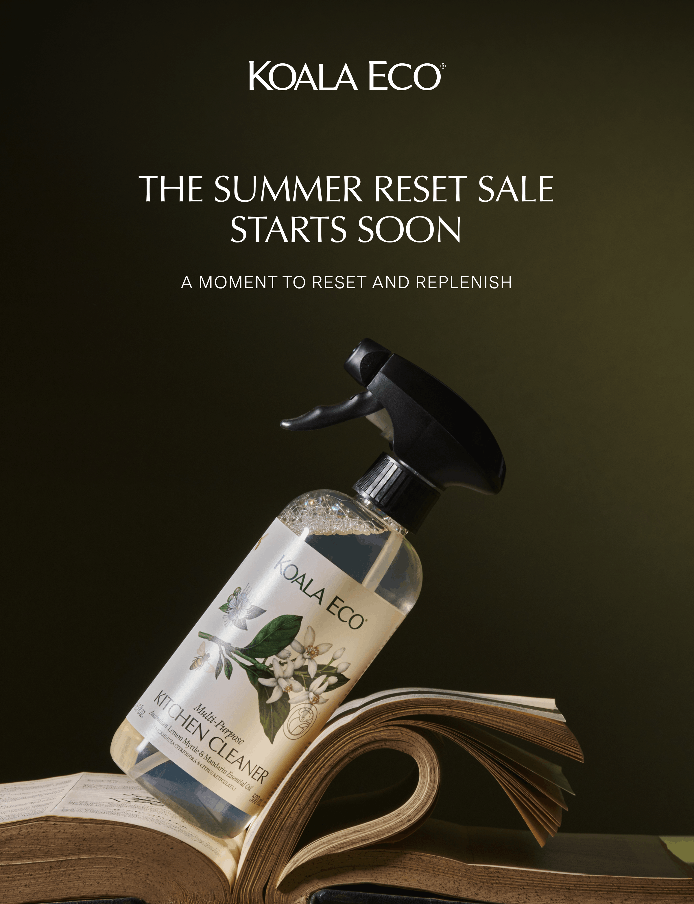 KOALA ECO: The summer Reset Sale starts soon
