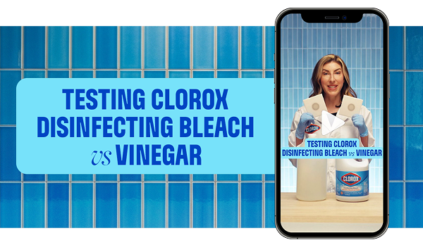 Clorox Disinfecting Bleach vs Vinegar