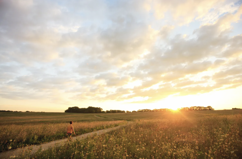 Midewin National Tallgrass Prairie