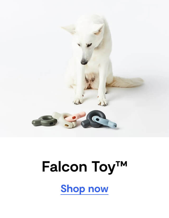 Falcon Toy™