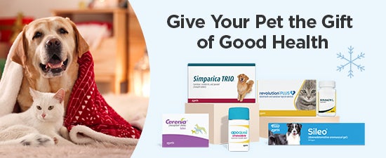 Exclusive Rx Savings for Members