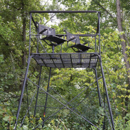 Tree Stands