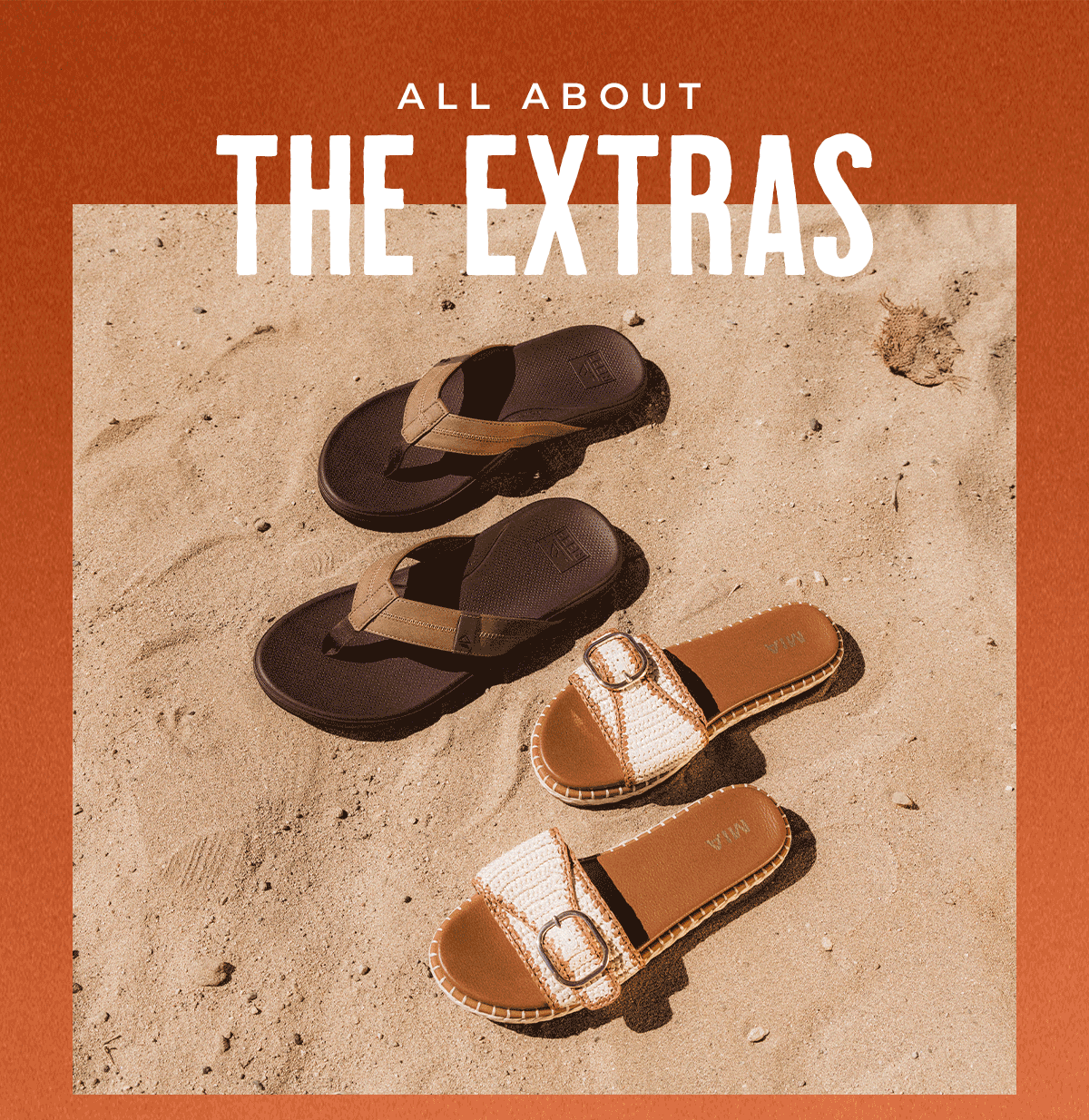 All About The Extras