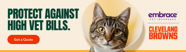 Embrace Pet Insurance