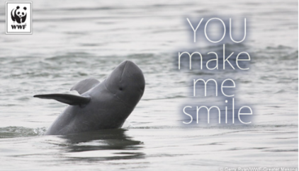 Ecard of a dolphin that says YOU make me smile