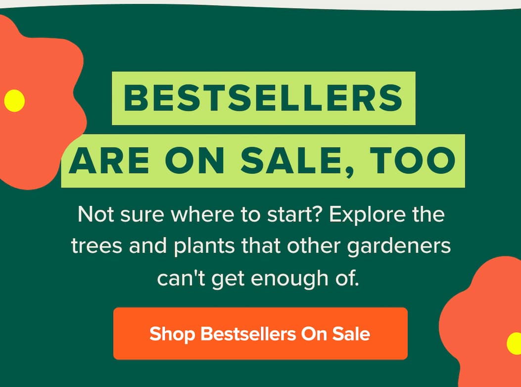 Bestsellers are on sale, too! Not sure where to start? Explore the trees and plants that other gardeners can't get enough of.&nbsp; SHOP BESTSELLERS>>