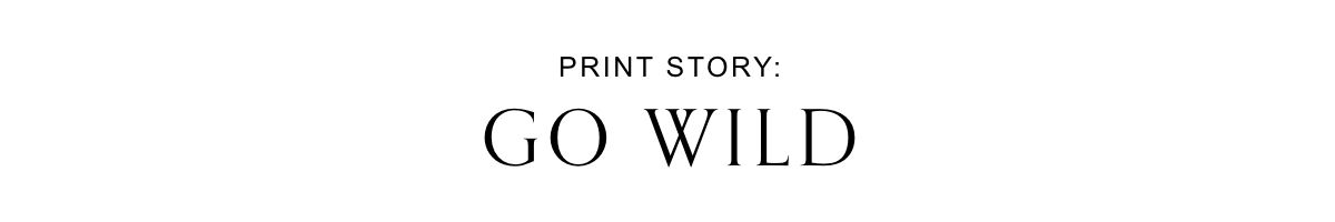 Print Story: Go Wild