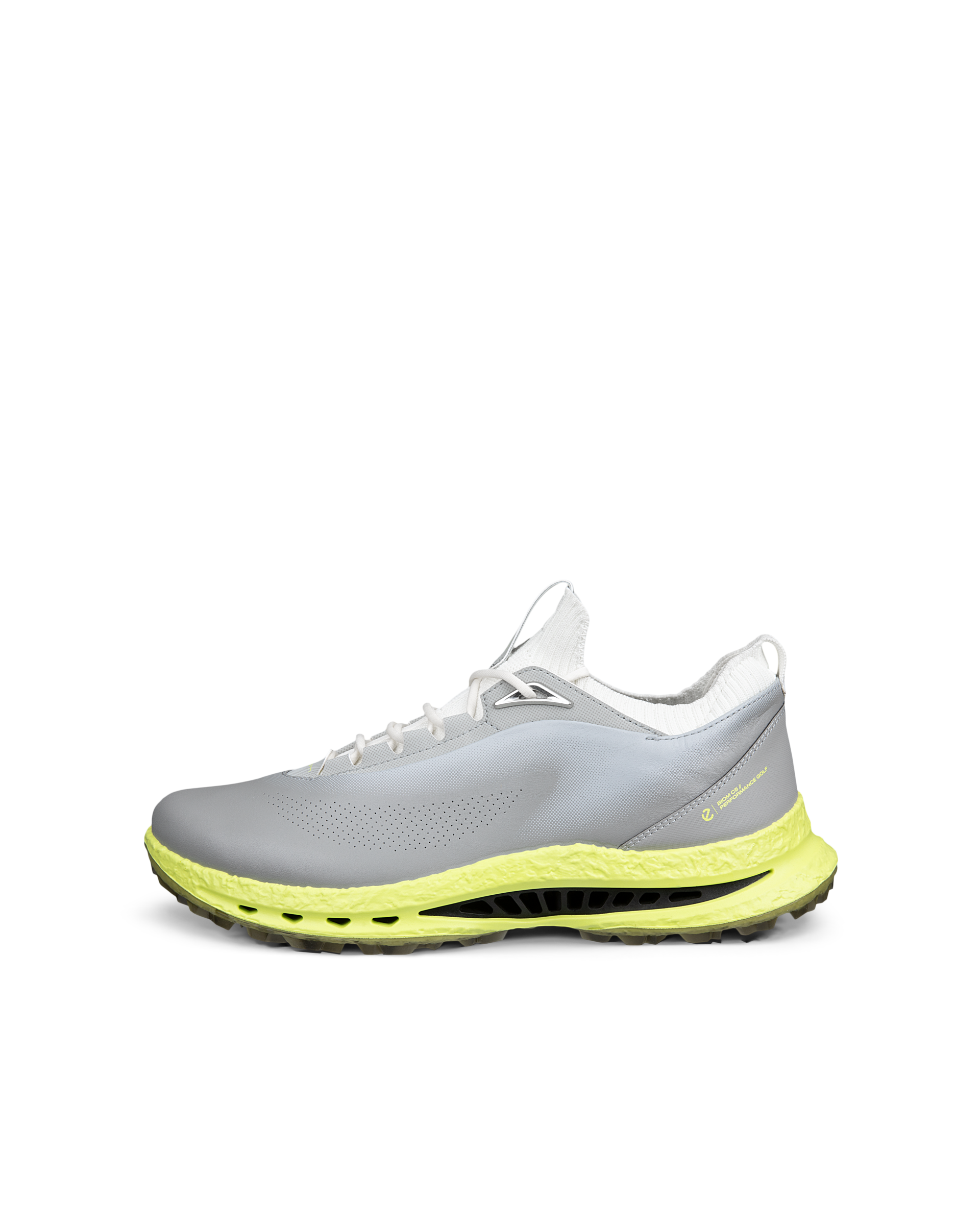 ECCO Golf Biom C5