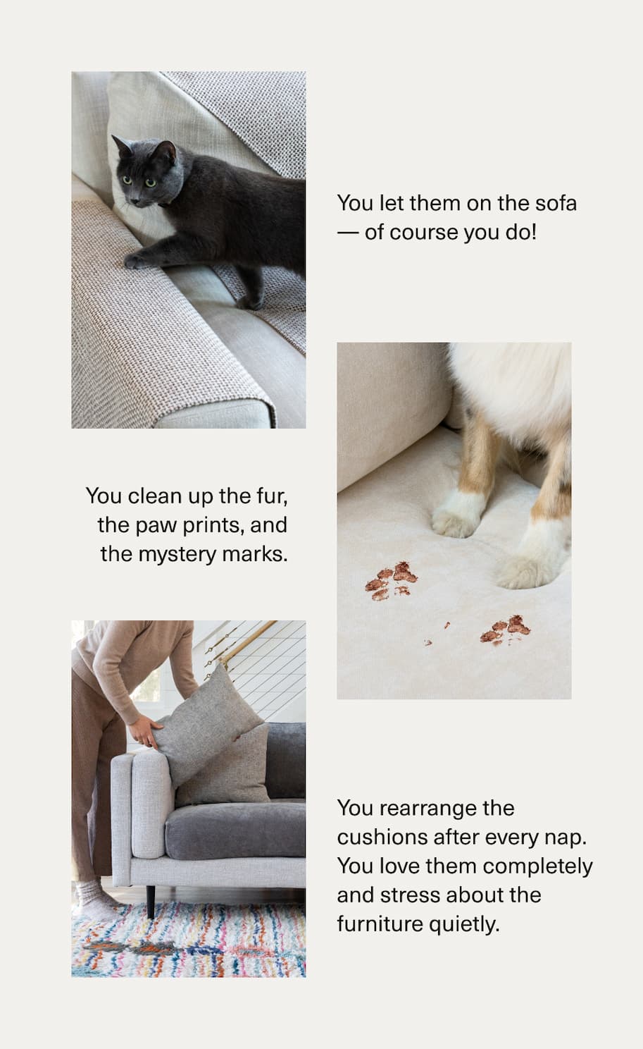 You let them of the sofa, clean up the fur and prints. you rearrange the cushions but you love them. 