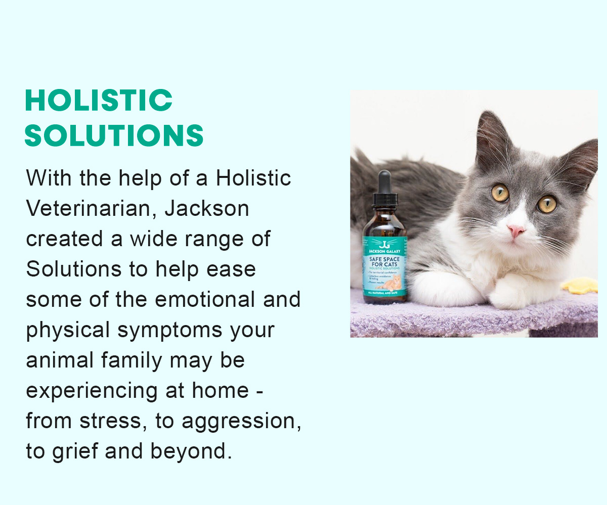 HOLISTIC SOLUTIONS With the help of a Holistic Veterinarian, Jackson created a wide range of Solutions to help ease some of the emotional and physical symptoms your animal family may be experiencing at home - from stress, to aggression, to grief and beyond.