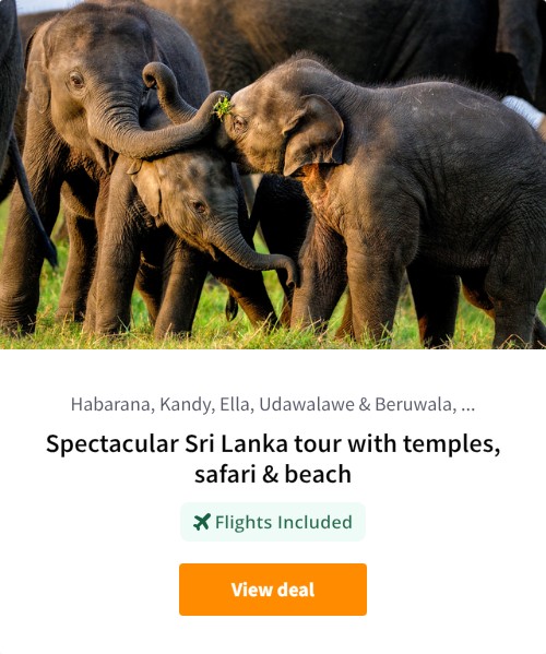 Spectacular Sri Lanka tour with temples, safari &amp; beach