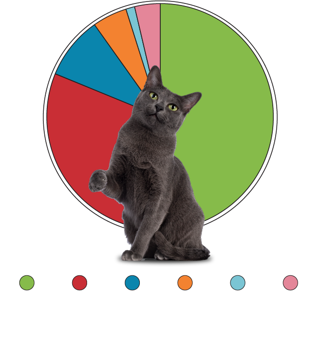 Scooping pie chart