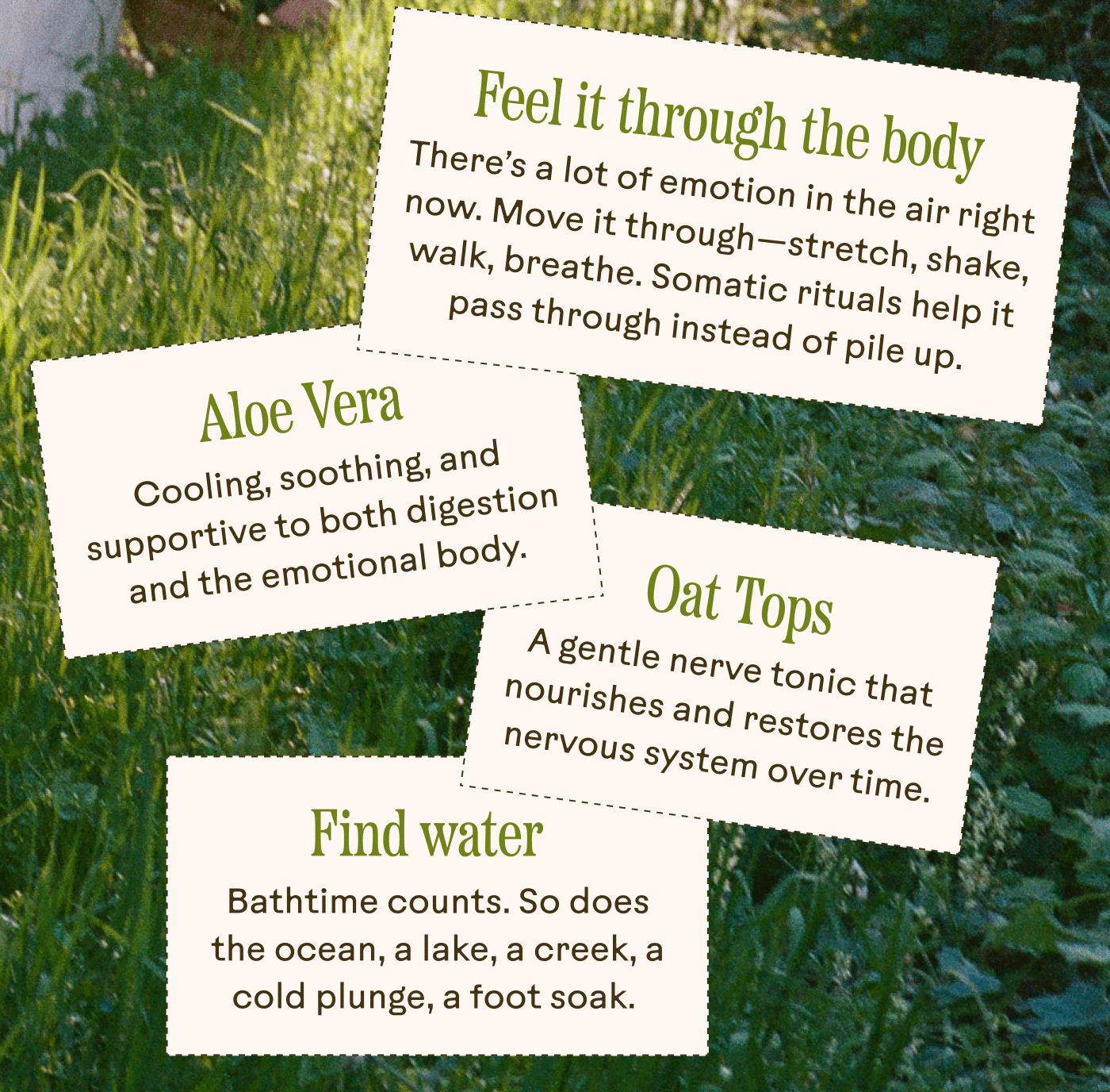Oat Tops A gentle nerve tonic that nourishes and restores the nervous system over time.  Feel it through the body There’s a lot of emotion in the air right now. Move it through—stretch, shake, walk, breathe. Somatic rituals help it pass through instead of pile up.  Aloe Vera Cooling, soothing, and supportive to both digestion and the emotional body.  Find water Bathtime counts. So does the ocean, a lake, a creek, a cold plunge, a foot soak.