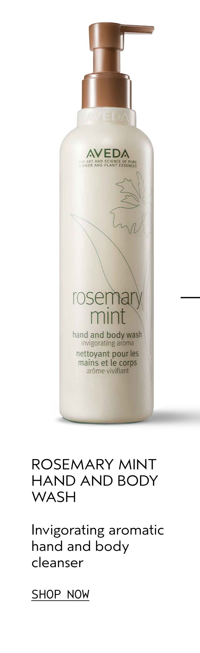 ROSEMARY MINT HAND AND BODY WASH Invigorating aromatic hand and body cleanser SHOP NOW