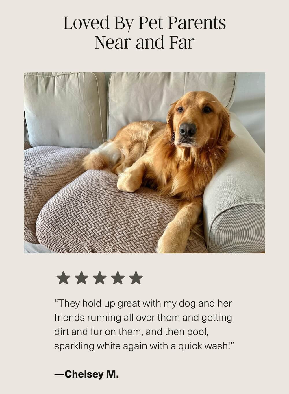 Loved By Pet Parents Near and Far