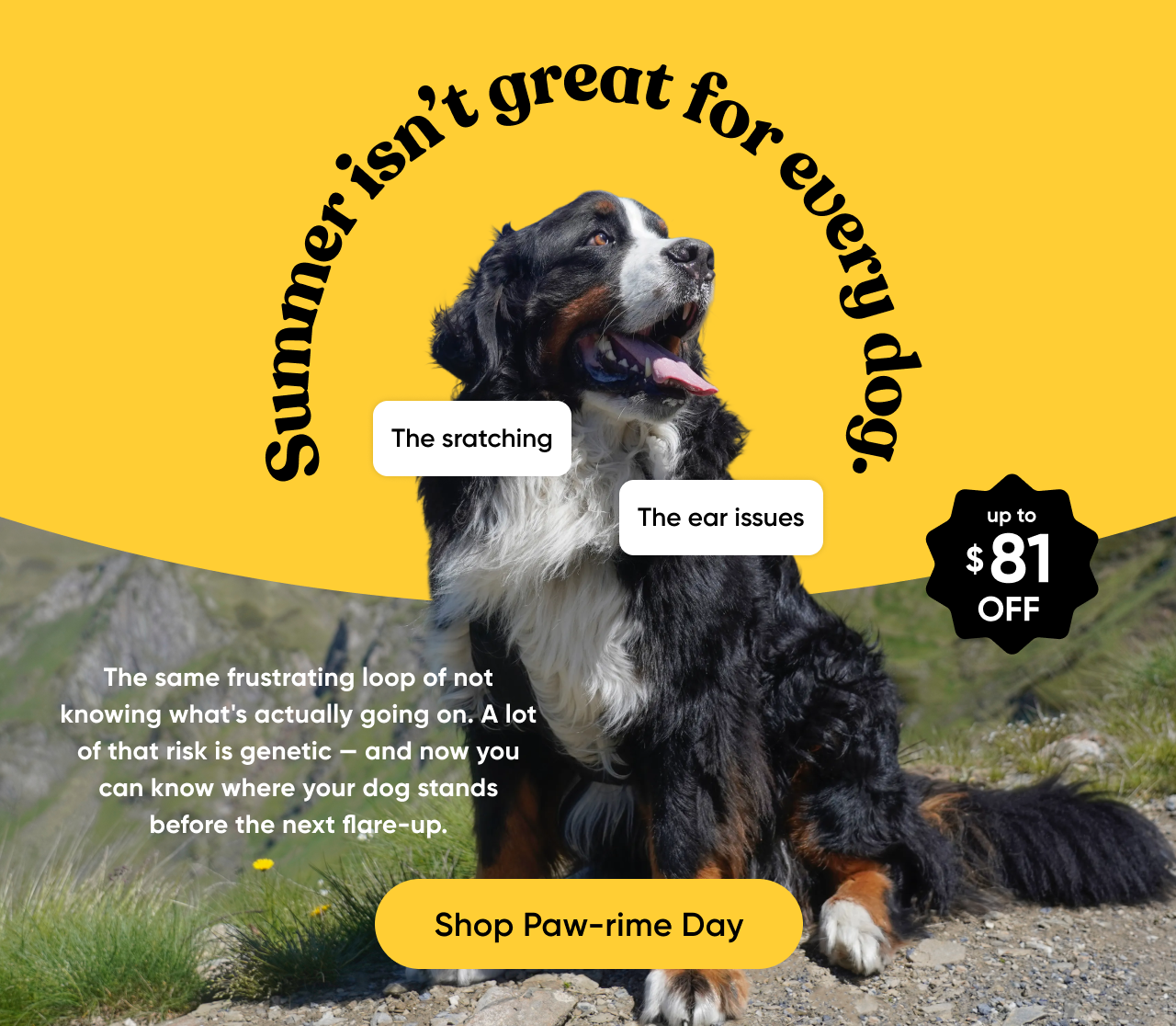 Summer isn't great for every dog. The scratching. The ear issues. The same frustrating loop of not knowing what's actually going on. A lot of that risk is genetic — and now you can know where your dog stands before the next flare-up. up to $81 off. Shop Paw-rime Day