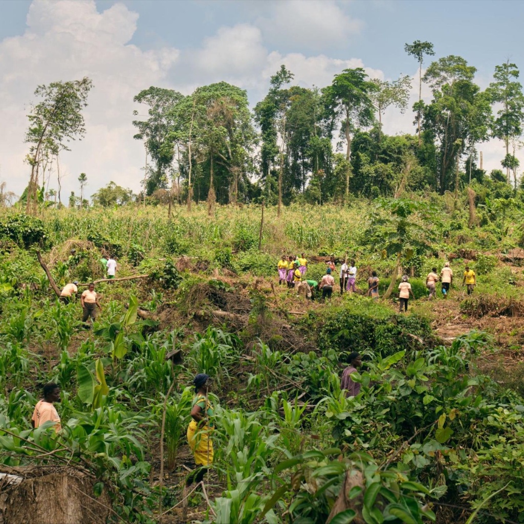 People walking all over a field