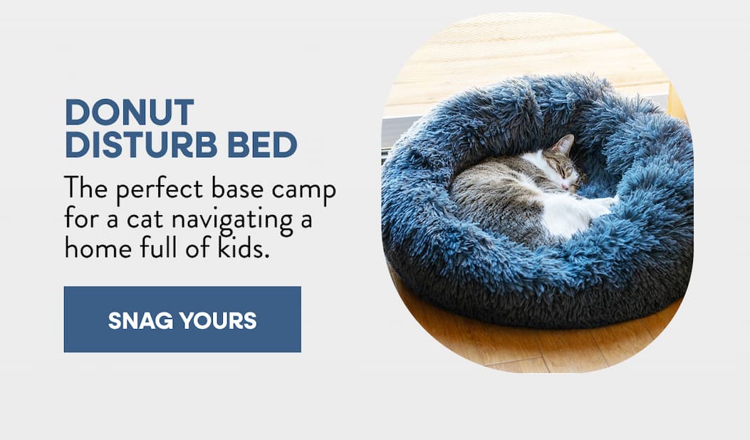 Donut Disturb Bed