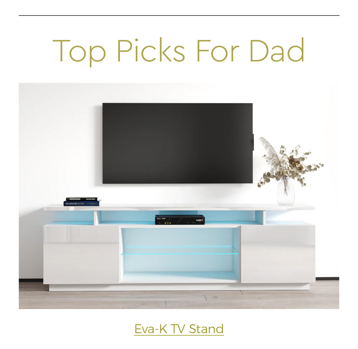 Eva-K TV Stand