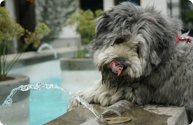 Fountain Materials: How to Choose