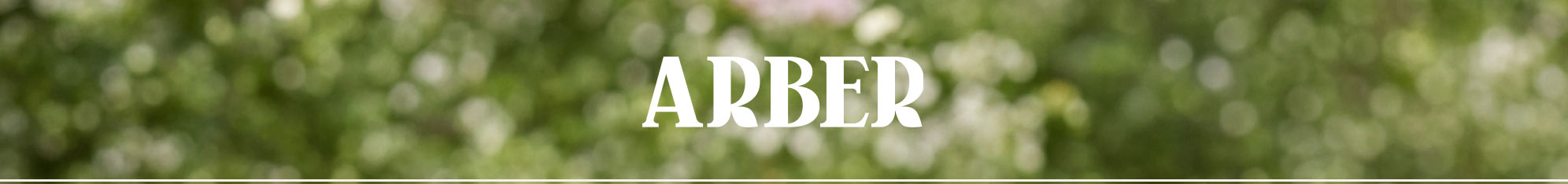 Arber