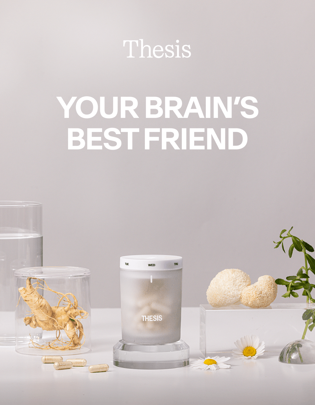 your brain's best freind