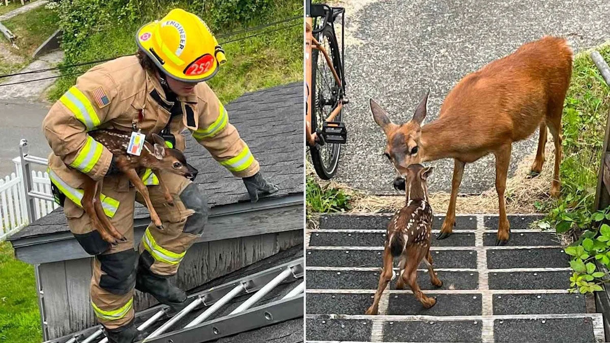 A fireman holds a baby dear.