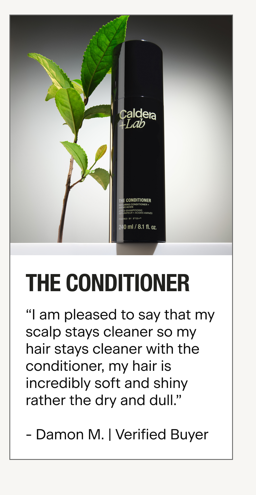 THE CONDITIONER