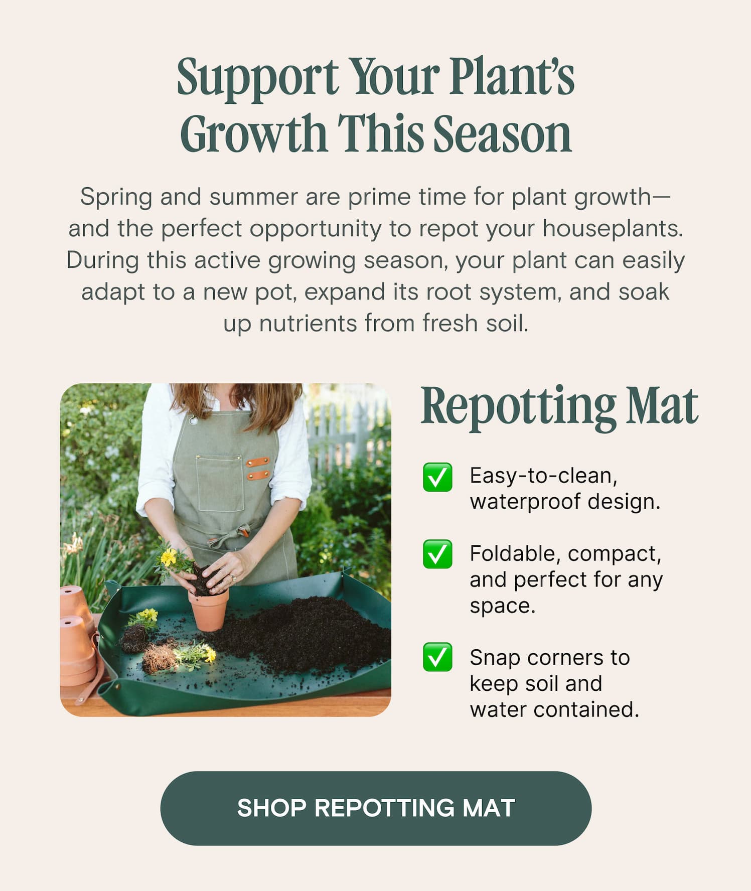 Spring and summer are prime time for plant growth—and the perfect opportunity to repot your houseplants. During this active growing season, your plant can easily adapt to a new pot, expand its root system, and soak up nutrients from fresh soil. Support Your Plant’s Growth This Season 