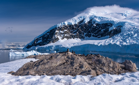 Gentoo Rookeries Neko Harbor Antarctica