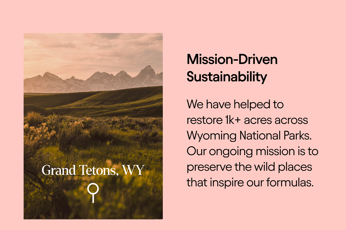 Misson-Driven Sustainability 
