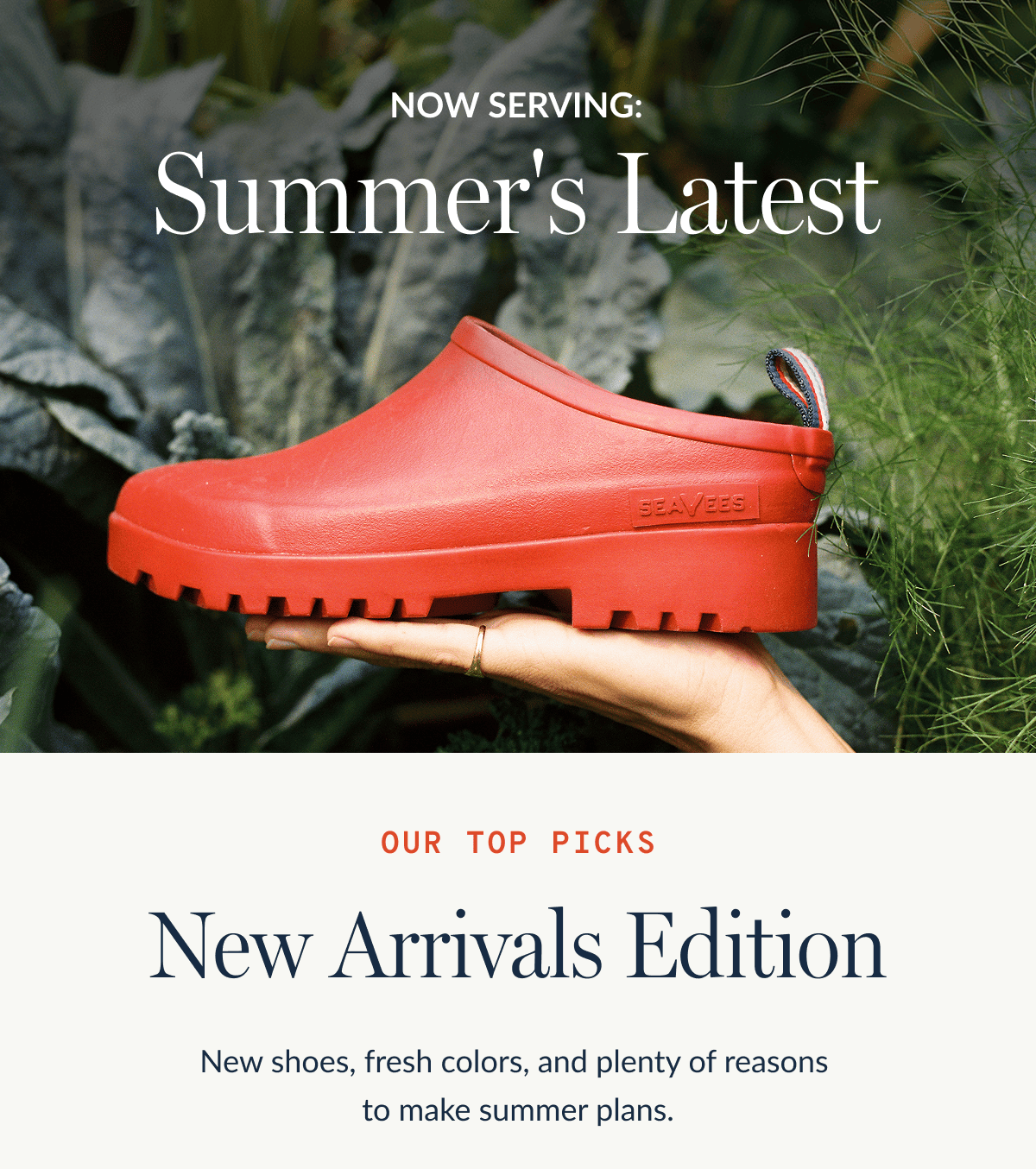 Summer's Latest