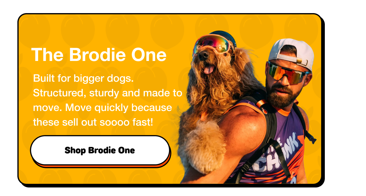 Brodie One
