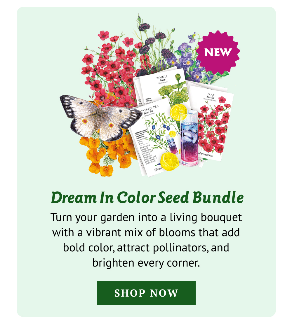 Turn your garden into a living bouquet with a vibrant mix of blooms that add bold color, attract pollinators, and brighten every corner.