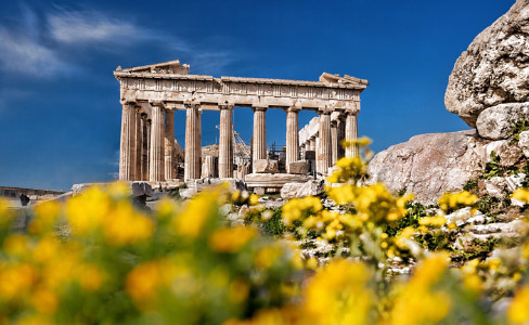 Flowers Parthenon Acropolis Athens