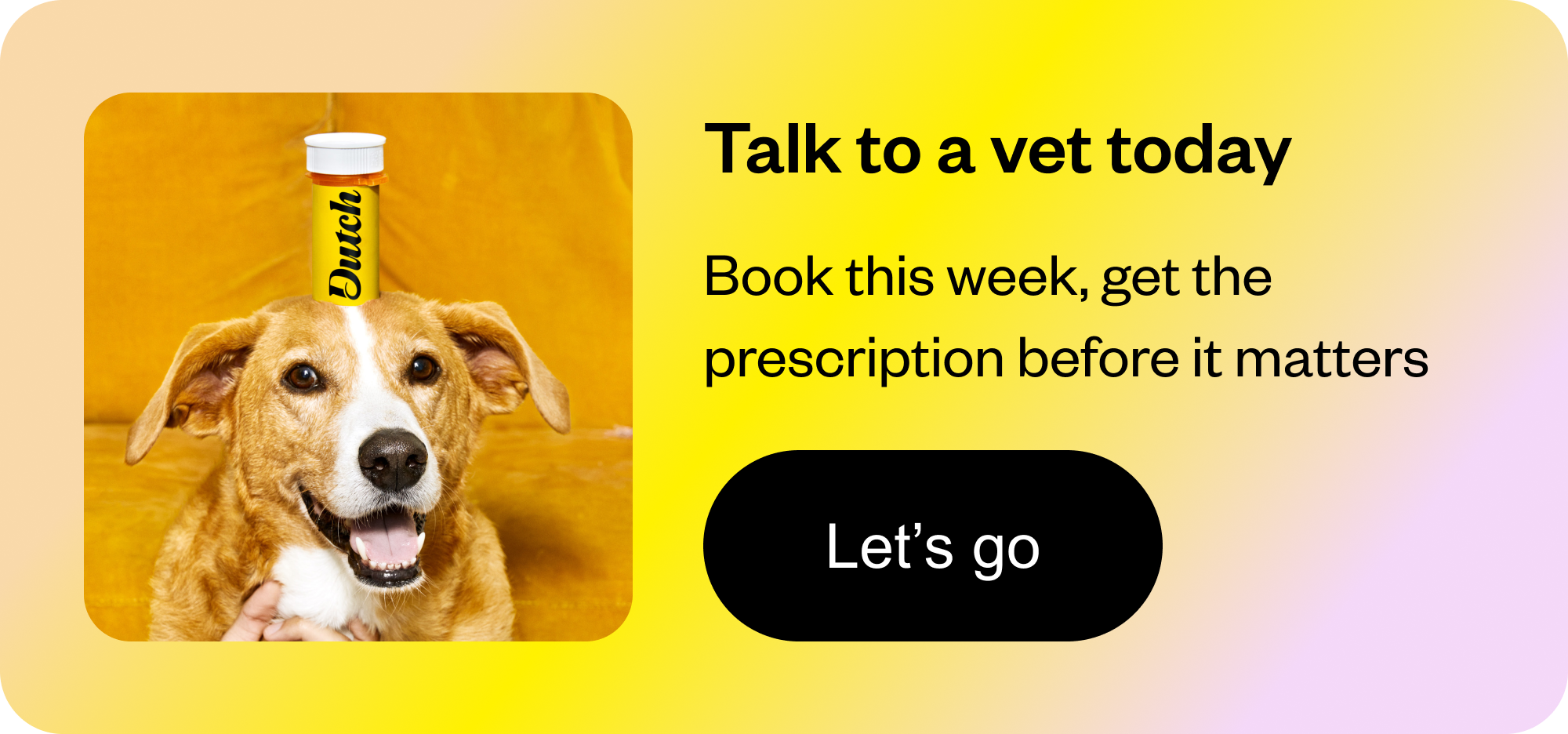 Talk to a vet today — book this week, get the prescription before it matters