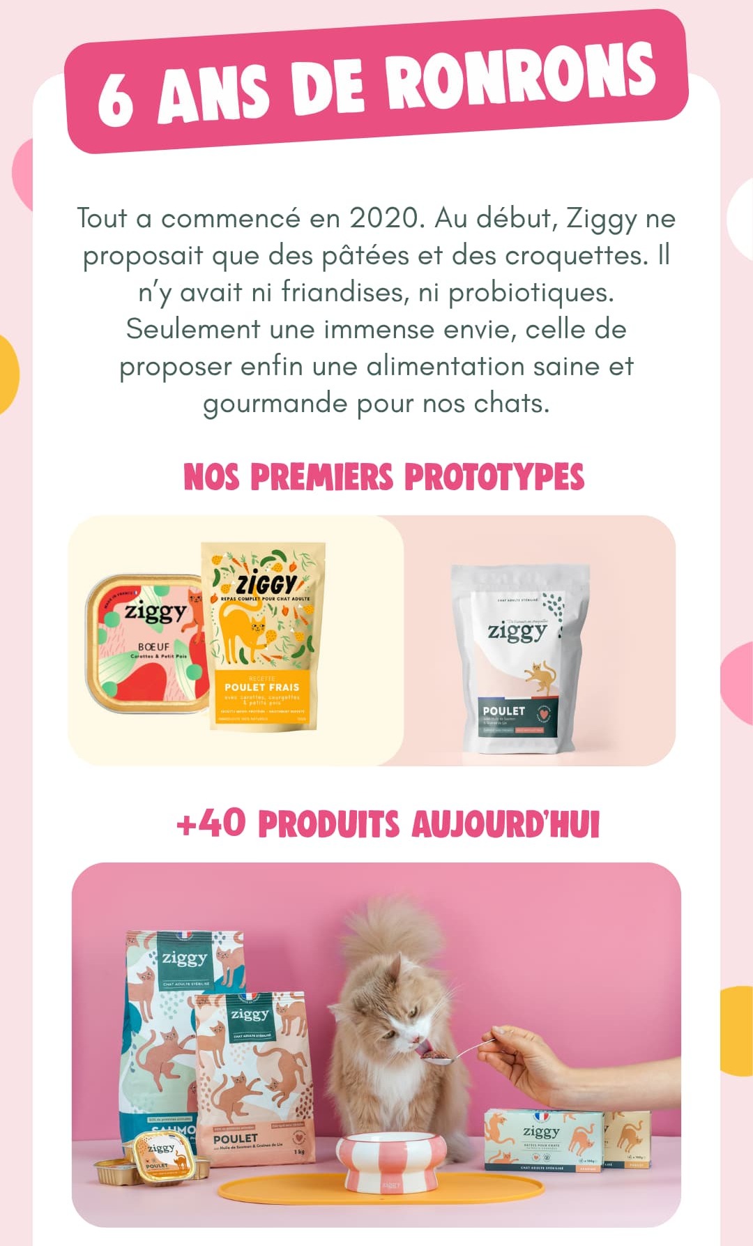 6 ans de ronrons