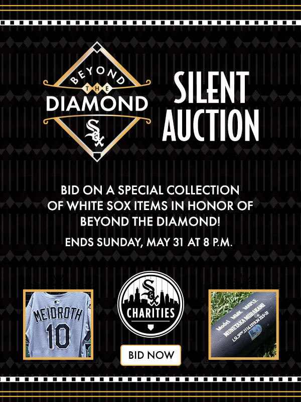 Beyond the Diamond Silent Auction - Bid Now