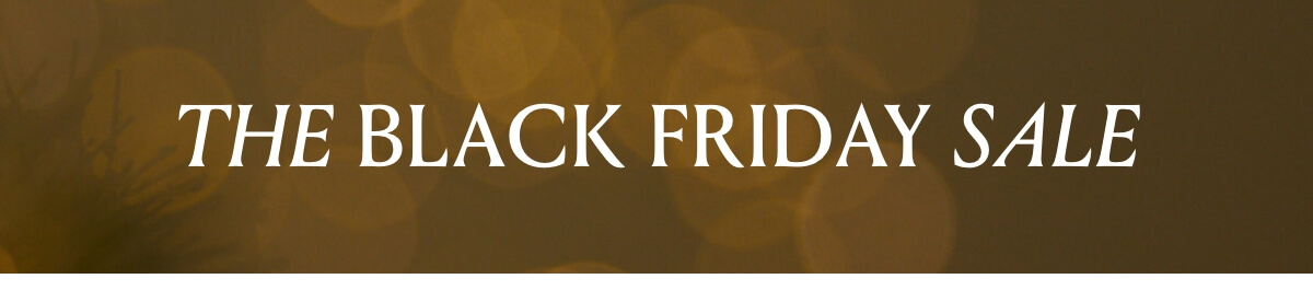 BlackFriday2024