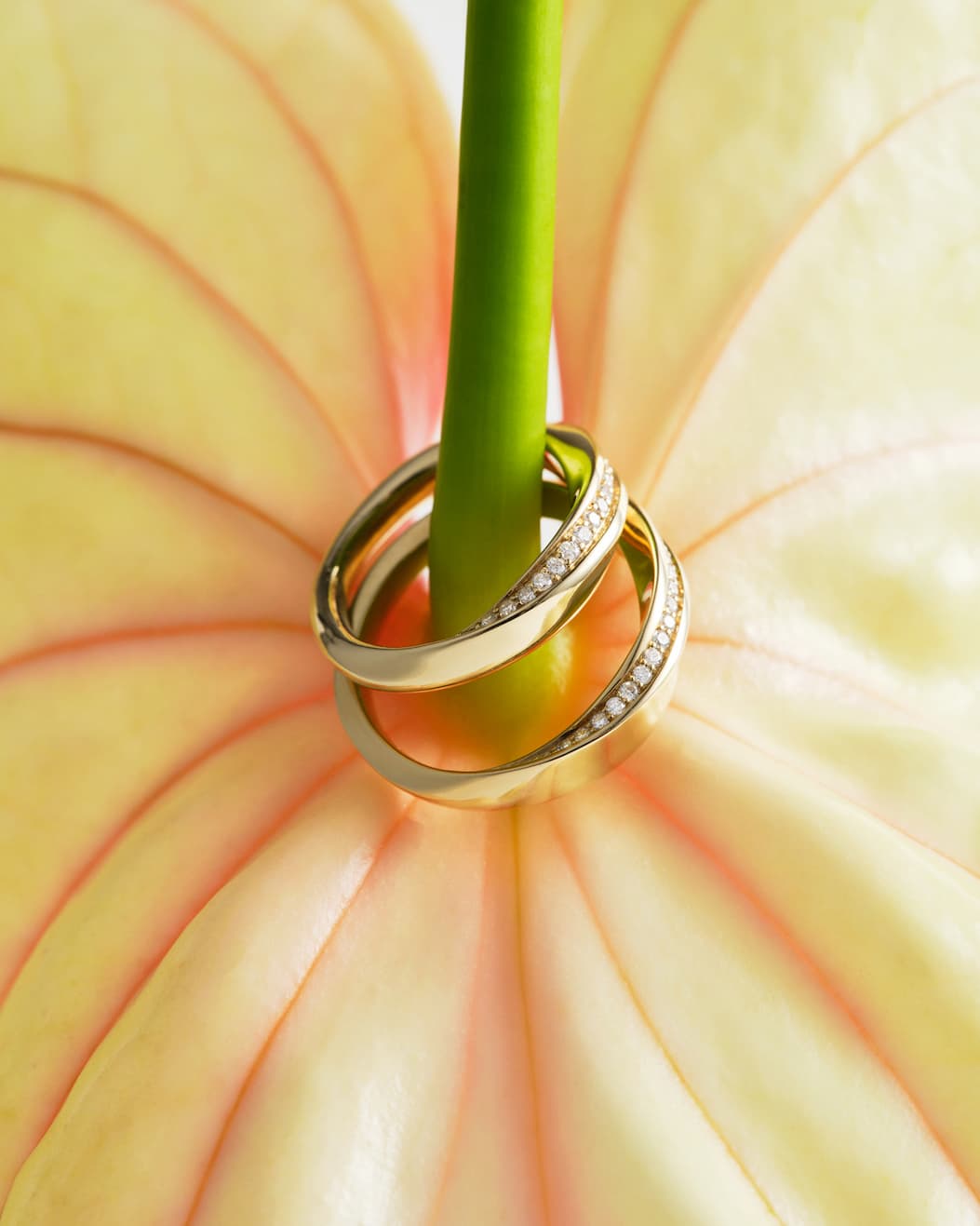 Wedding & engagement rings
