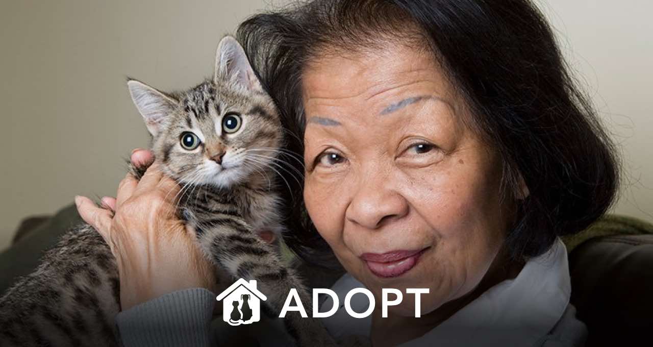 ADOPT