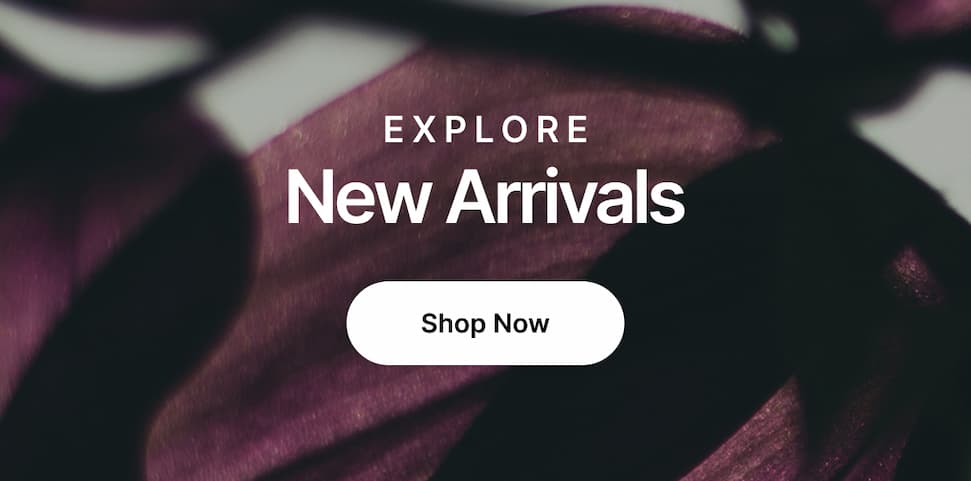 Explore all Women's New Arrivals at REEF.