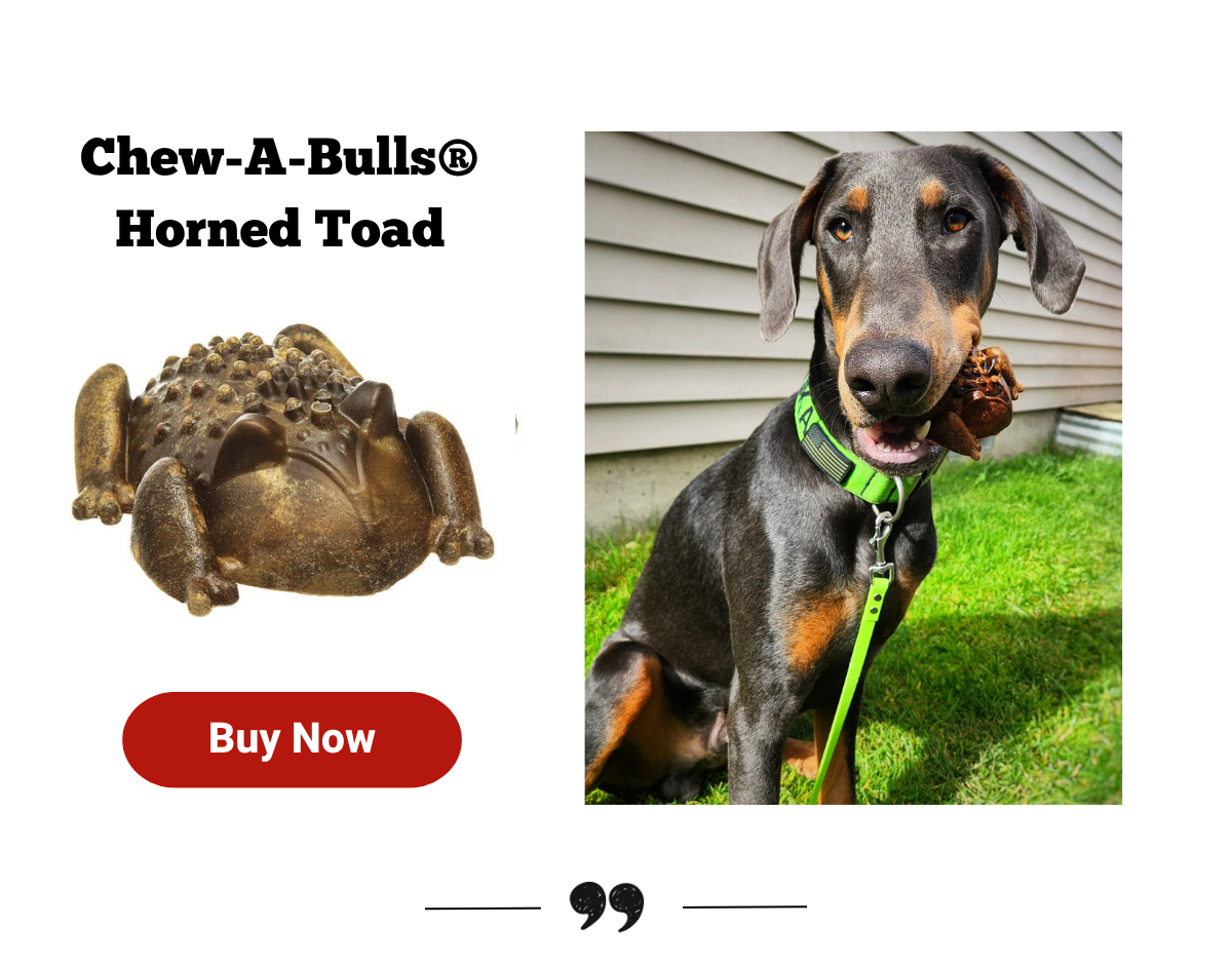 Chew-A-Bulls® Horned Toad