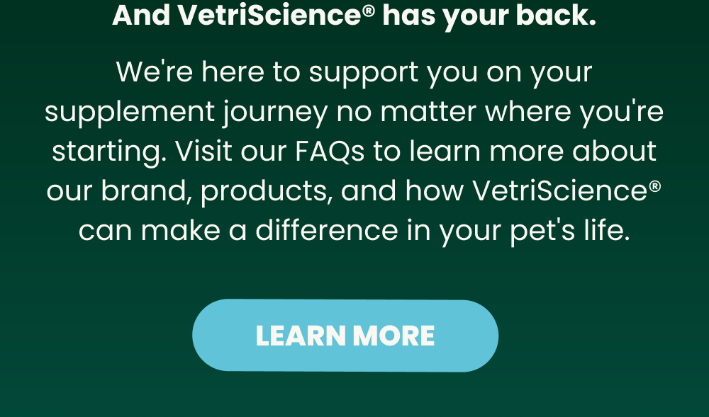 We're here to support you on your supplement journey | Visit our FAQs to learn more about our brand |[LEARN MORE]