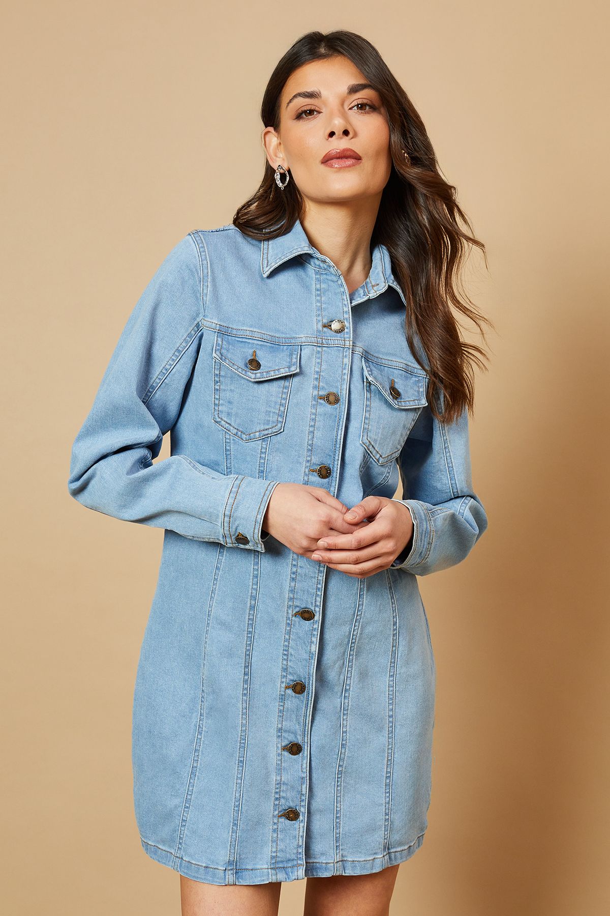 Long Sleeve Fitted Denim Mini Dress