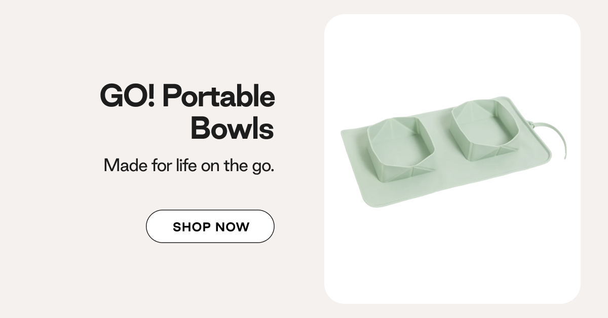 Shop Go Portable Bowls 
