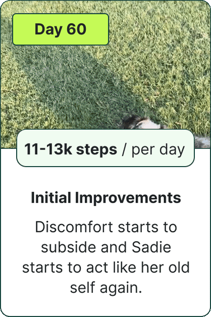 Initial Improvements