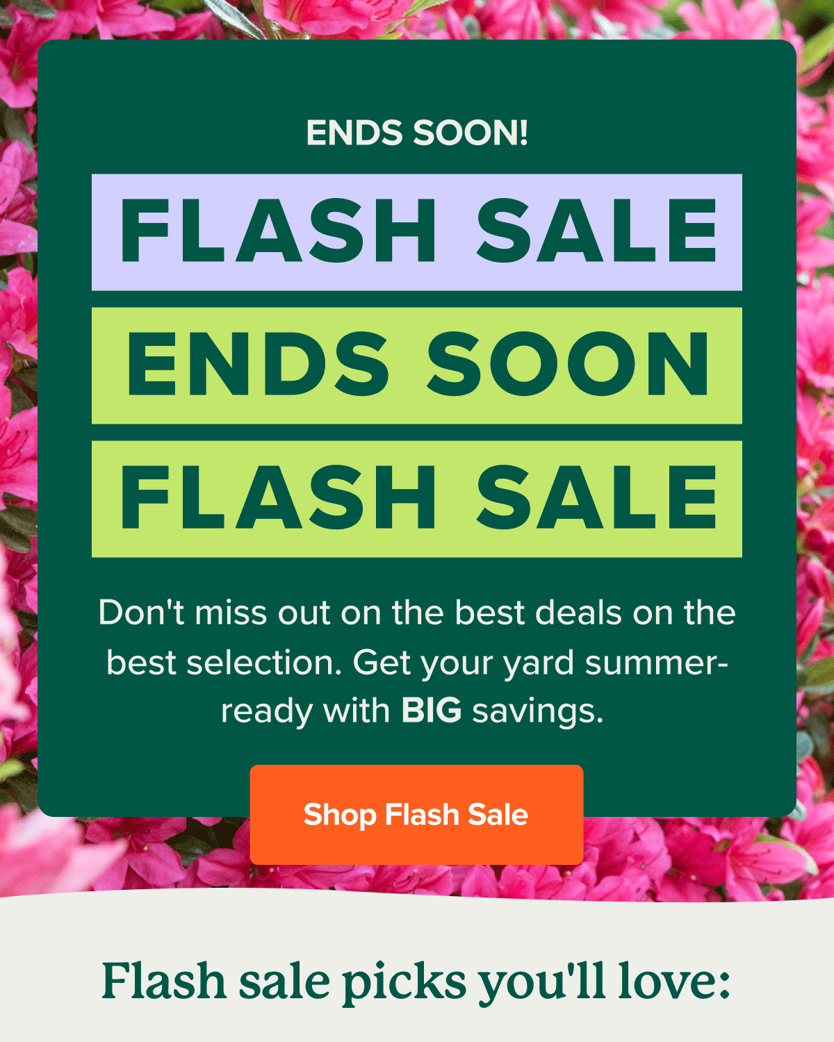 ENDS SOON! Shop Flash Sale while it lasts>>